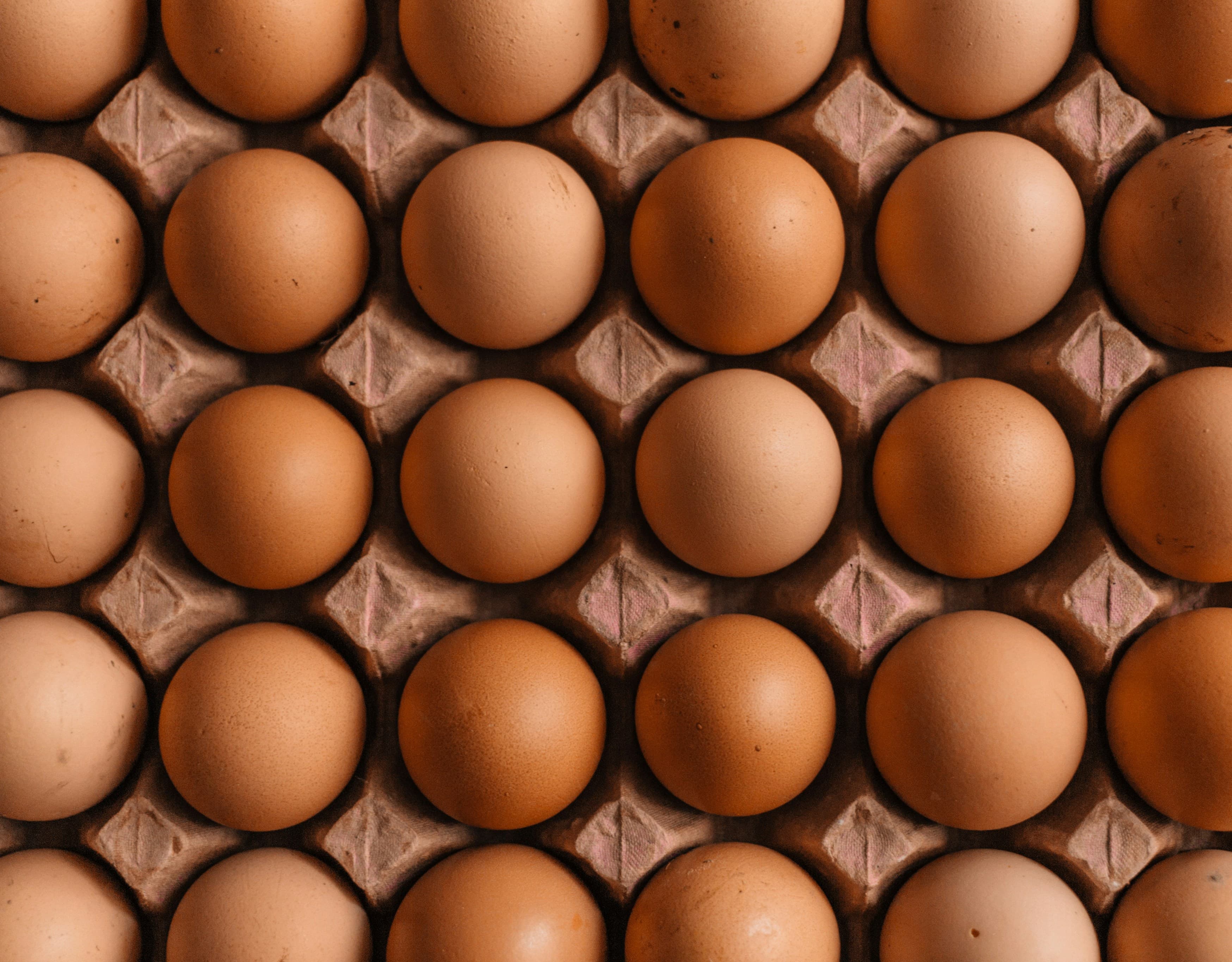 Fresh free-range eggs from Dan Farm Ltd